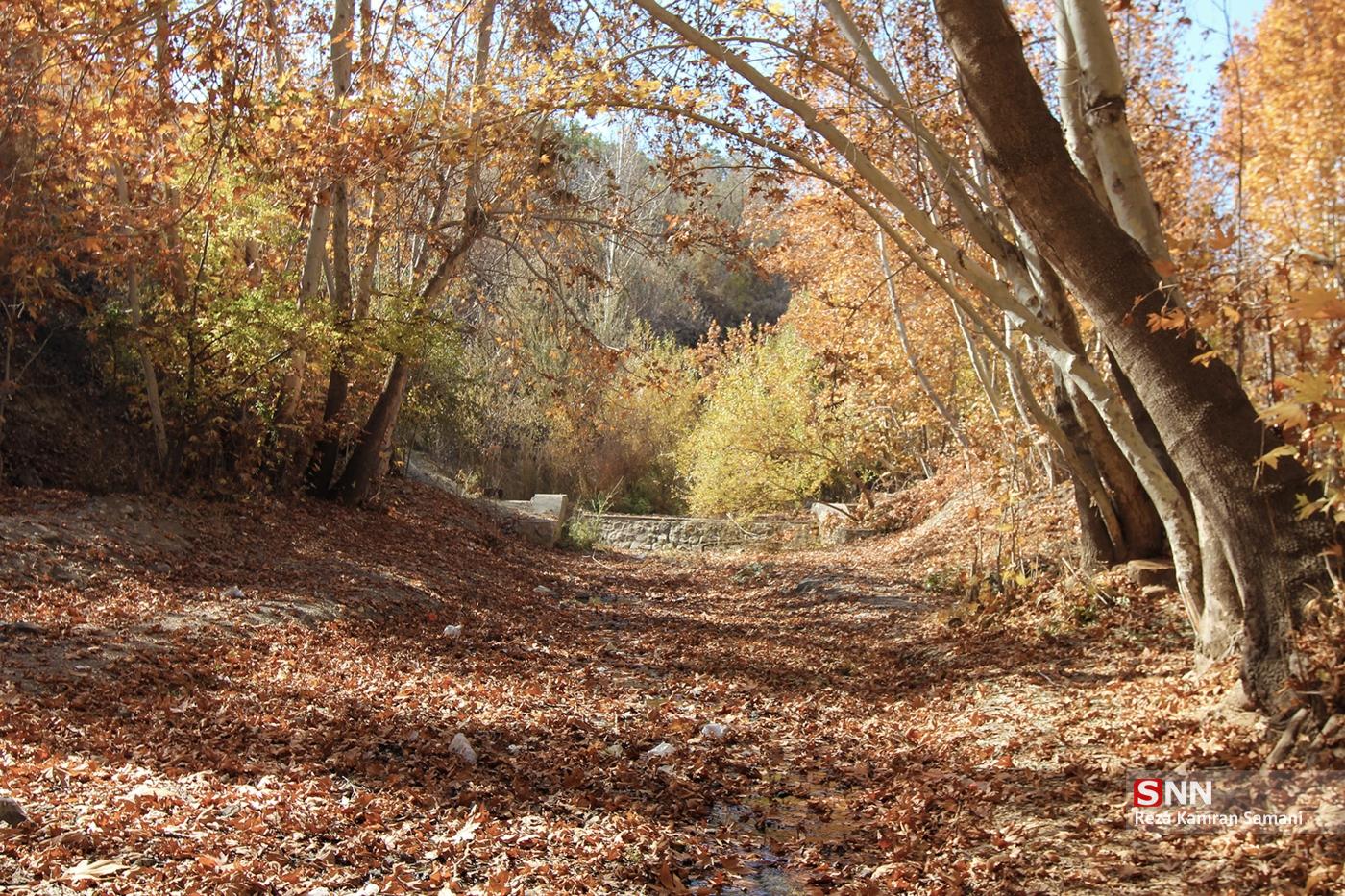 طبیعت پاییزی حاشیه زاینده رود در شهرستان سامان