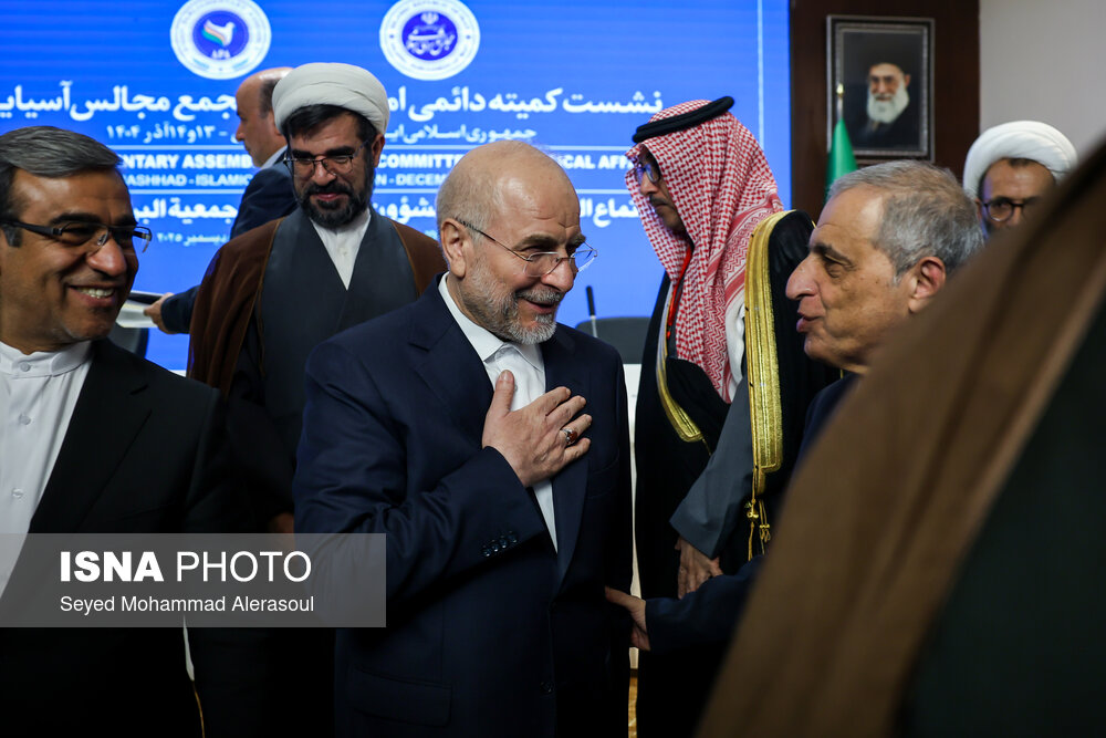 عکس/ نشست کمیته دائمی امور سیاسی مجمع مجالس آسیایی در مشهد