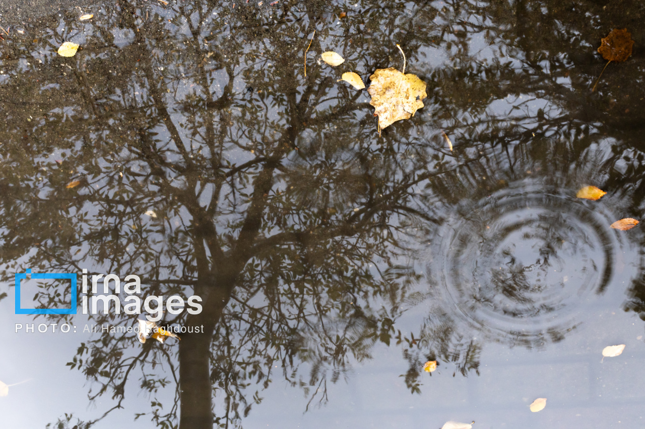 بغض آسمان خراسان جنوبی با نخستین بارش پاییزی شکست