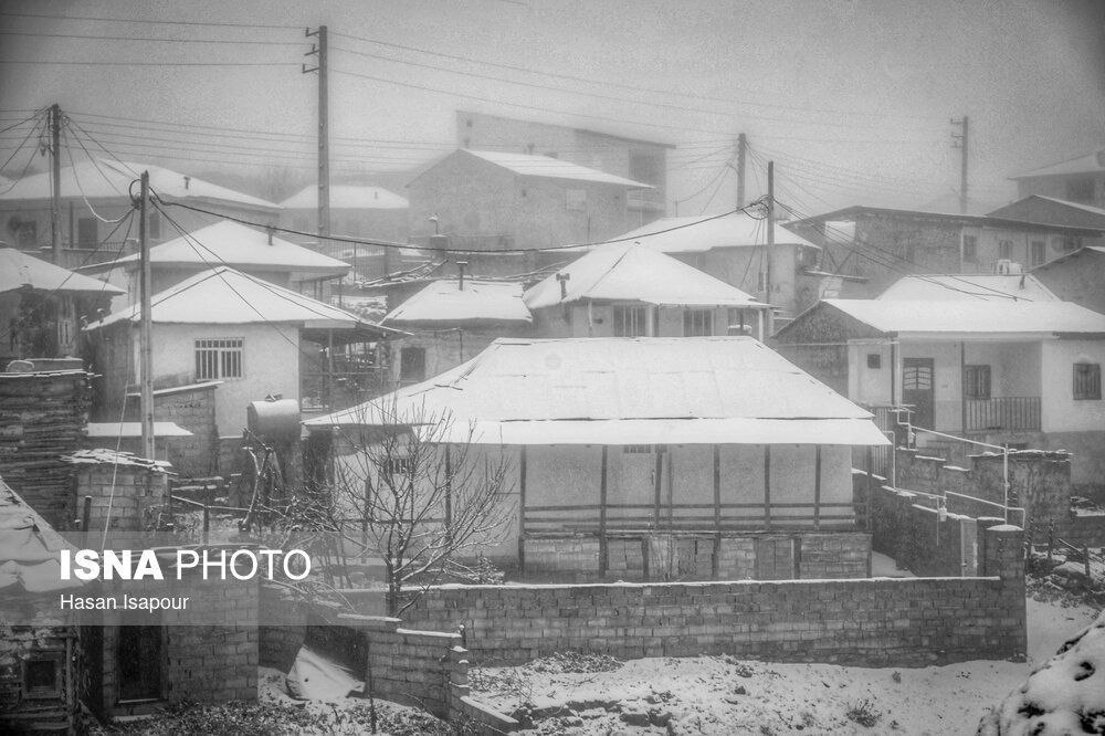 عکس/ بارش برف پاییزی در روستاهای کوهستانی سوادکوه