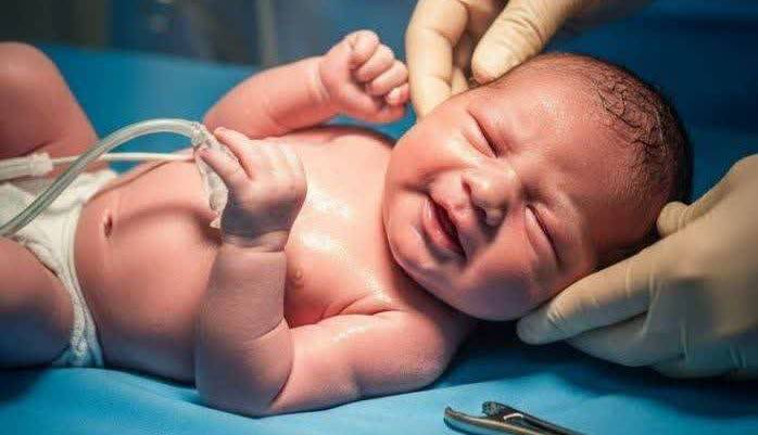 تولد نوزاد عجول در محوطه بیمارستان آران و بیدگل