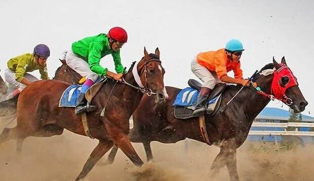 اهواز میزبان کورس پاییزه و زمستانه سوارکاری کشور