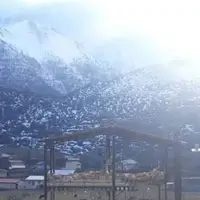 الیت سفیدپوش شد