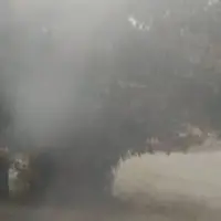 درخت چنار ۱۲۰ ساله لردگان در آتش‌ سوخت