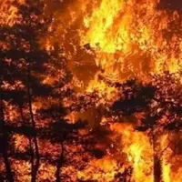 سمن‌ها به کمک اطفای حریق جنگل‌های زاگرس لرستان می‌آیند