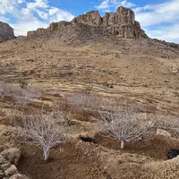 کوه بش استهبان در استان فارس