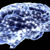 ابداع روشی برای رساندن دارو به نورون‌ها در مغز