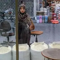 جزئیات قیمت جدید برنج هندی و پاکستانی