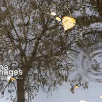 بغض آسمان خراسان جنوبی با نخستین بارش پاییزی شکست