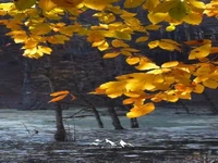 زیبایی های پاییز در ایران