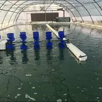 دستیابی به فناوری هوشمند ریزجلبکی برای تصفیه آب و جذب دی‌اکسیدکربن در ایران