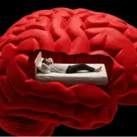 آیا تنبلی در مغز شروع می‌شود؟