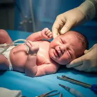 تولد نوزاد عجول در محوطه بیمارستان آران و بیدگل