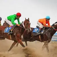 اهواز میزبان کورس پاییزه و زمستانه سوارکاری کشور