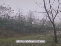 بارش شدید باران در شهرستان سیاهکل گیلان