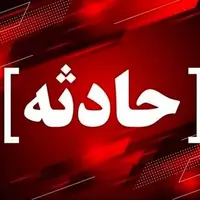 ضربوشتم کارشناس نظارت دامپزشکی بویراحمد توسط متخلف بهداشتی