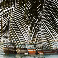 هشدار وقوع مه غلیظ صبحگاهی در سواحل و جزایر هرمزگان