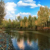 طبیعت پاییزی حاشیه زاینده رود در شهرستان سامان