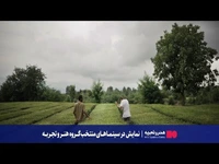 رونمایی از دومین تیزر رسمی «عاشق پاییز»
