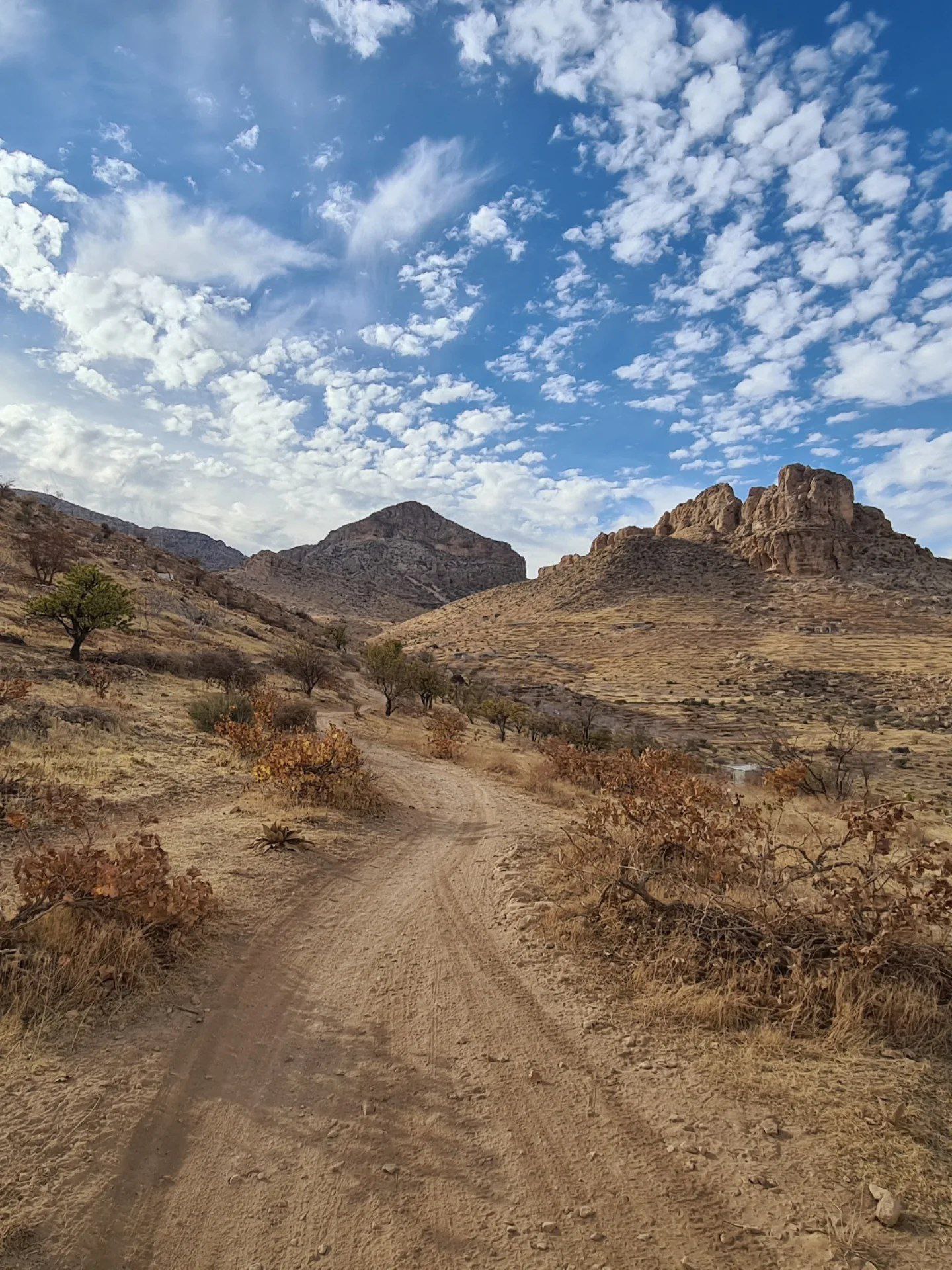 کوه بش استهبان در استان فارس