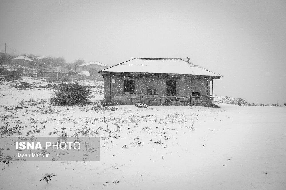 عکس/ بارش برف پاییزی در روستاهای کوهستانی سوادکوه