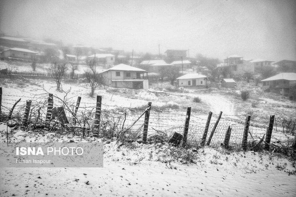 عکس/ بارش برف پاییزی در روستاهای کوهستانی سوادکوه