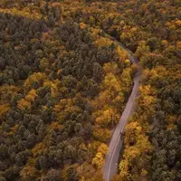 نمای هوائی از جنگل دو هزار 