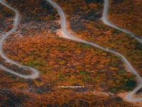 جاده‌ی زیبا و پاییزیِ آلاشت 