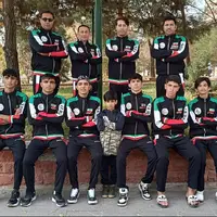 درخشش ووشوکاران کرمانشاهی در رقابت‌های قهرمانی کشور