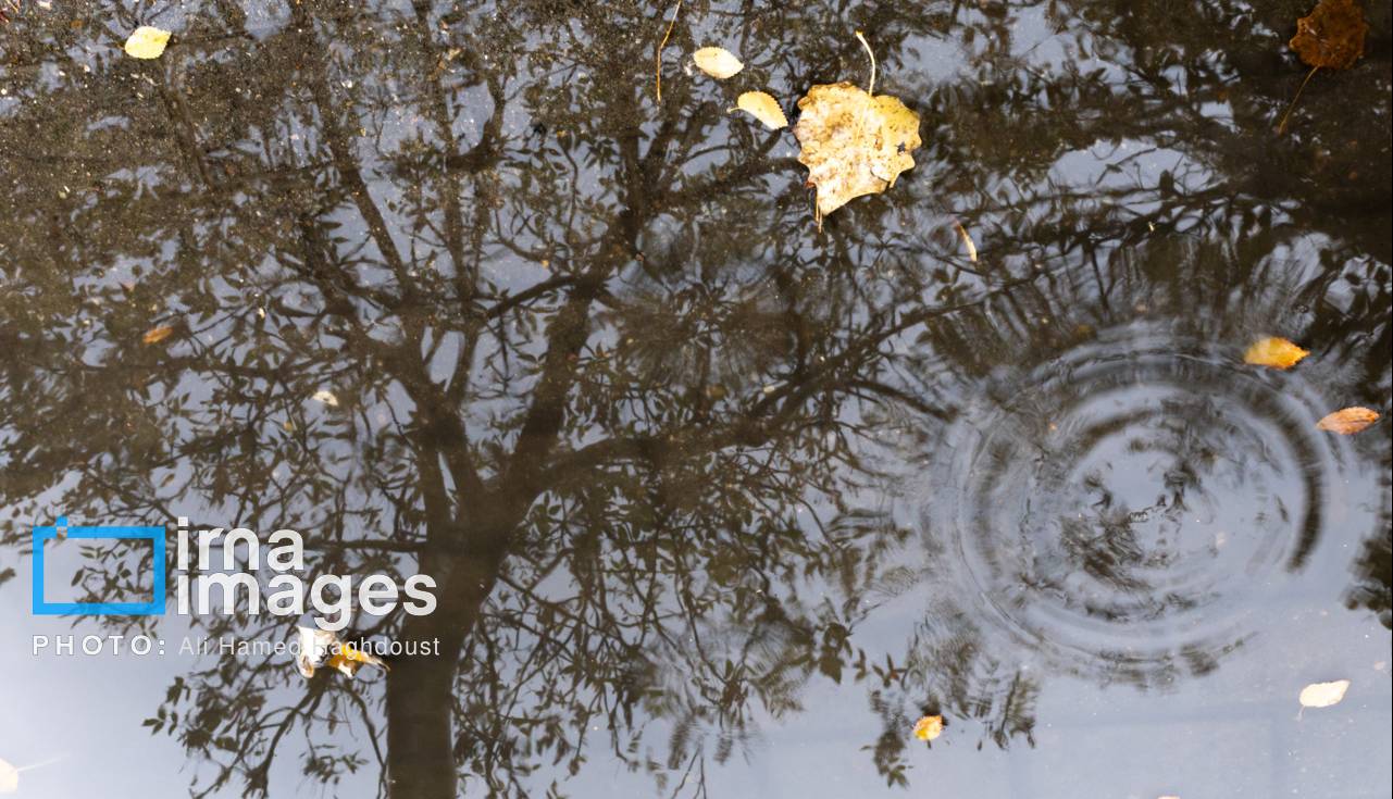 کارشناس هواشناسی: بارش‌های گسترده در راه ایلام است