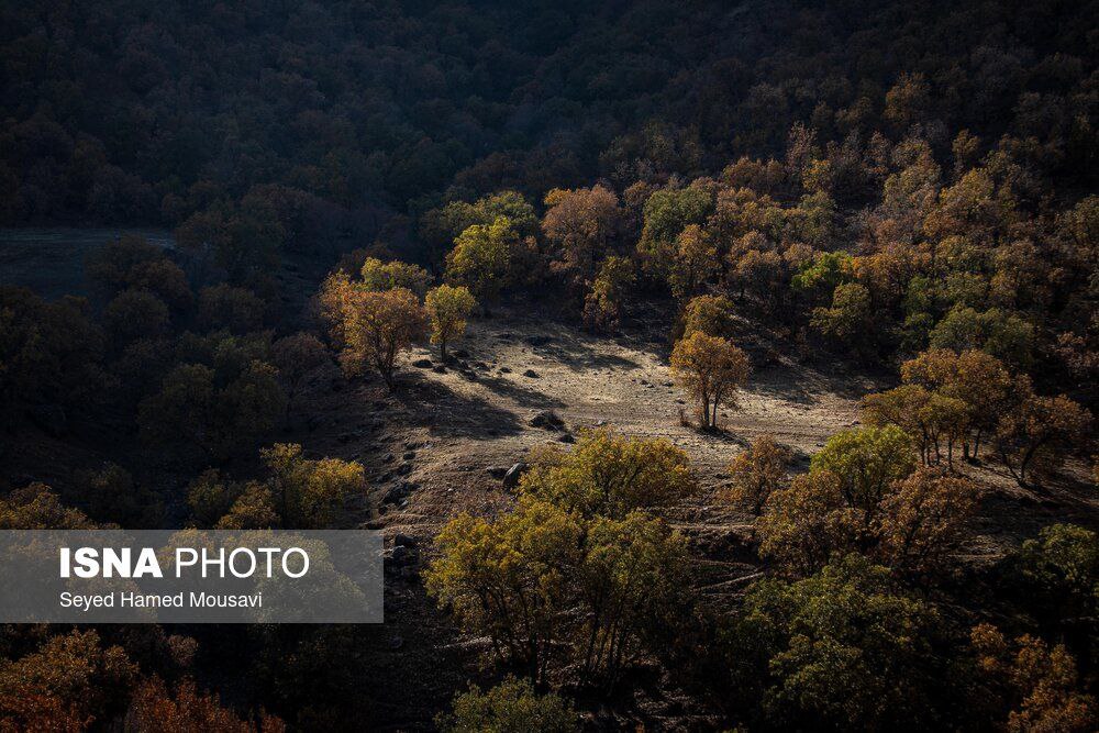 رنگ‌های زاگرس؛ پاییز پیرتو