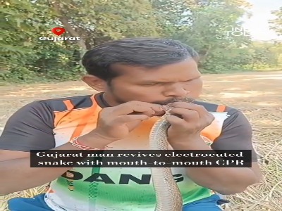 لحظه نجات مار با تنفس دهان‌به‌دهان!