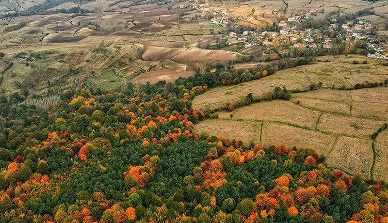 خلع ید ۶۳۱ هکتار منابع طبیعی شمال از دست متصرفان