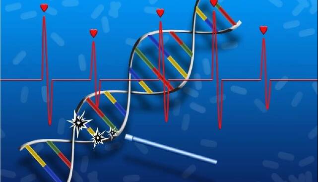ابداع اولین داروی ترمیم DNA و بازسازی بافت آسیبدیده