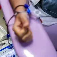 آغاز پویش «اهدای خون دانشجو» در کرمان؛ نیاز به همه گروههای خونی