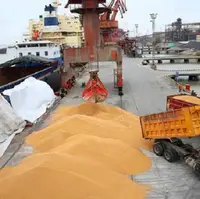 پهلوگیری ۱۰ هزار تن گندم در بندر امیرآباد