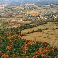 خلع ید ۶۳۱ هکتار منابع طبیعی شمال از دست متصرفان