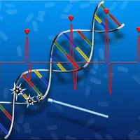 ابداع اولین داروی ترمیم DNA و بازسازی بافت آسیبدیده