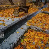 عکس/طبیعت پاییزی در پارک بابا امان بجنورد