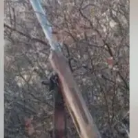 دستگیری شکارچیان غیرمجاز پرندگان در سفیدکوه خرم‌آباد