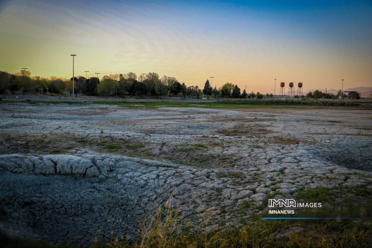 عکس/ مرگ نیلوفرِ کرمانشاه؛ آغاز فصلی تلخ از بحران آب