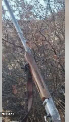 دستگیری شکارچیان غیرمجاز پرندگان در سفیدکوه خرمآباد