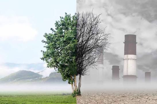 بهترین توصیه در آلودگی هوا!