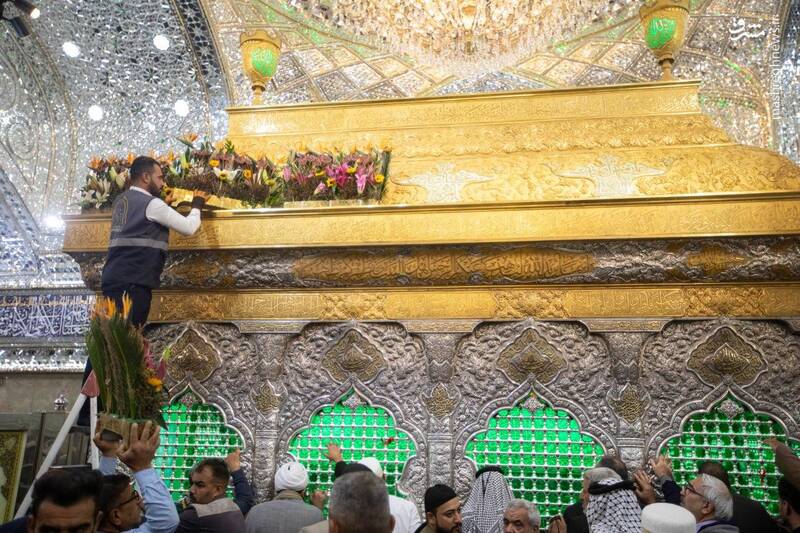 عکس/گل‌آرایی ضریح نورانی سیدالشهدا برای ولادت مادر سادات