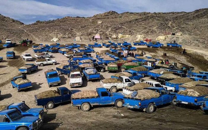 قاچاق سوخت به صورت شبکهای در استان کرمان