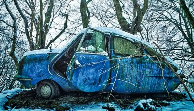 گوناگون/زیبایی وهمآلود خودروهایی که به تصرف طبیعت درآمدهاند