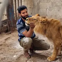 آخرین وضعیت سیمبای غزه