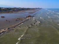 ساحل زیبای رادیودریا به خط هشت