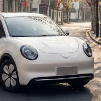 افشای مشخصات وولینگ بینگو پرو؛ هاچ‌بک برقی جدید در راه بازار چین