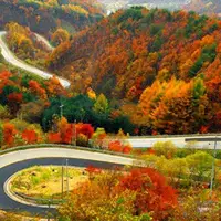 پاییز فندقلو